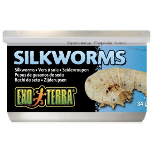 Exo Terra Canned Silkworms Specialty Reptile Food - 1.2 oz - EPP-XPT1954 | Exo-Terra | 2124