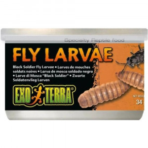 Exo Terra Canned Black Soldier Fly Larvae Specialty Reptile Food - 1.2 oz - EPP-XPT1966 | Exo-Terra | 2124