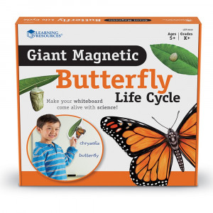 Giant Magnetic Butterfly Life Cycle Set, Set of 9 - LER6043 | Learning Resources | Animal Studies