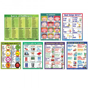PSZPS56 - Essential Clss Posters Set I French in Multilingual