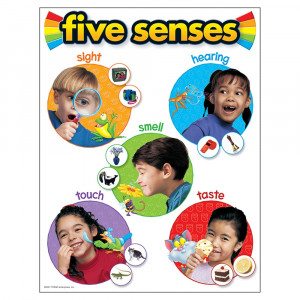 T-38051 - Chart Five Senses 17 X 22 Gr Pk-2 in Science