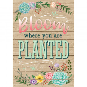 Bloom Where You Are Planted Positive Poster - TCR7428 | Teacher Created Resources | Motivational