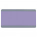 ASH10827 - Big Reading Guide Strips Purple in General