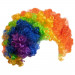 Clown Afro Wig