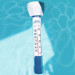 Floating Buoy Pool Thermometer