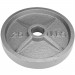 25lb Olympic Style Iron Weight Plate