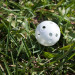 Golf Size Wiffle Balls - pack of 24