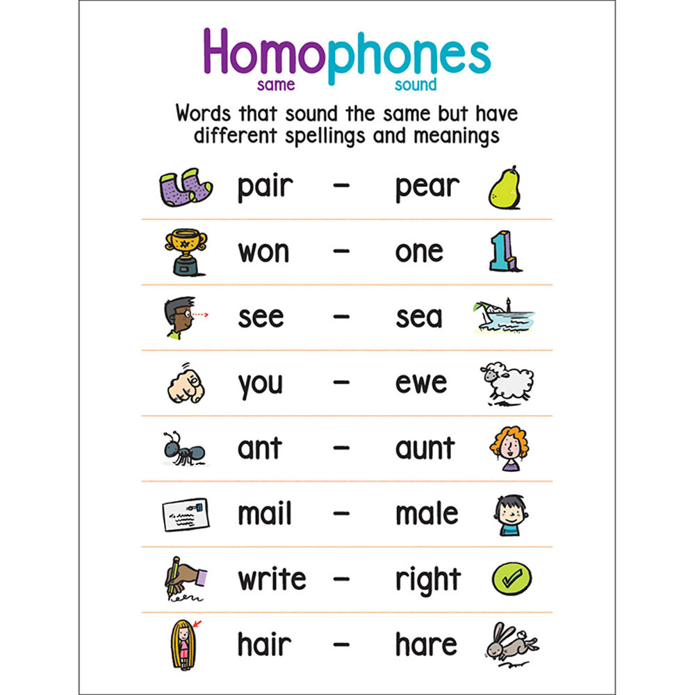 Anchor Chart Homophones SC823381 Scholastic Teaching Resources