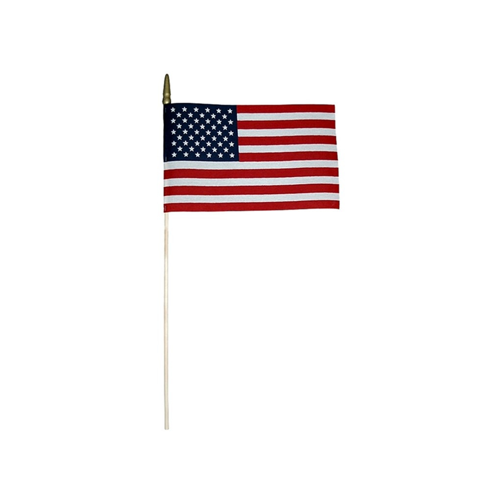 ANN041200 - American Flag 8 X 12 in Flags