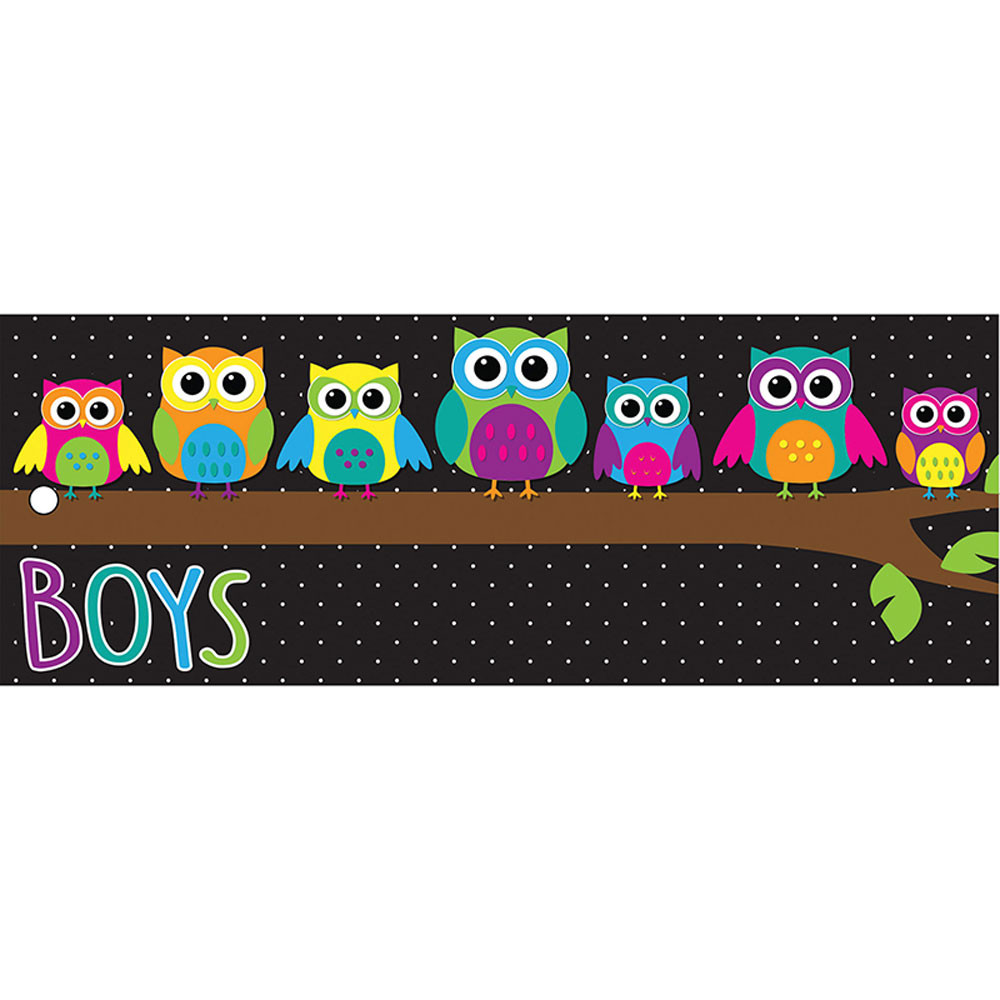 ASH10723 - Laminated Hall Pass Owls Boys in Hall Passes