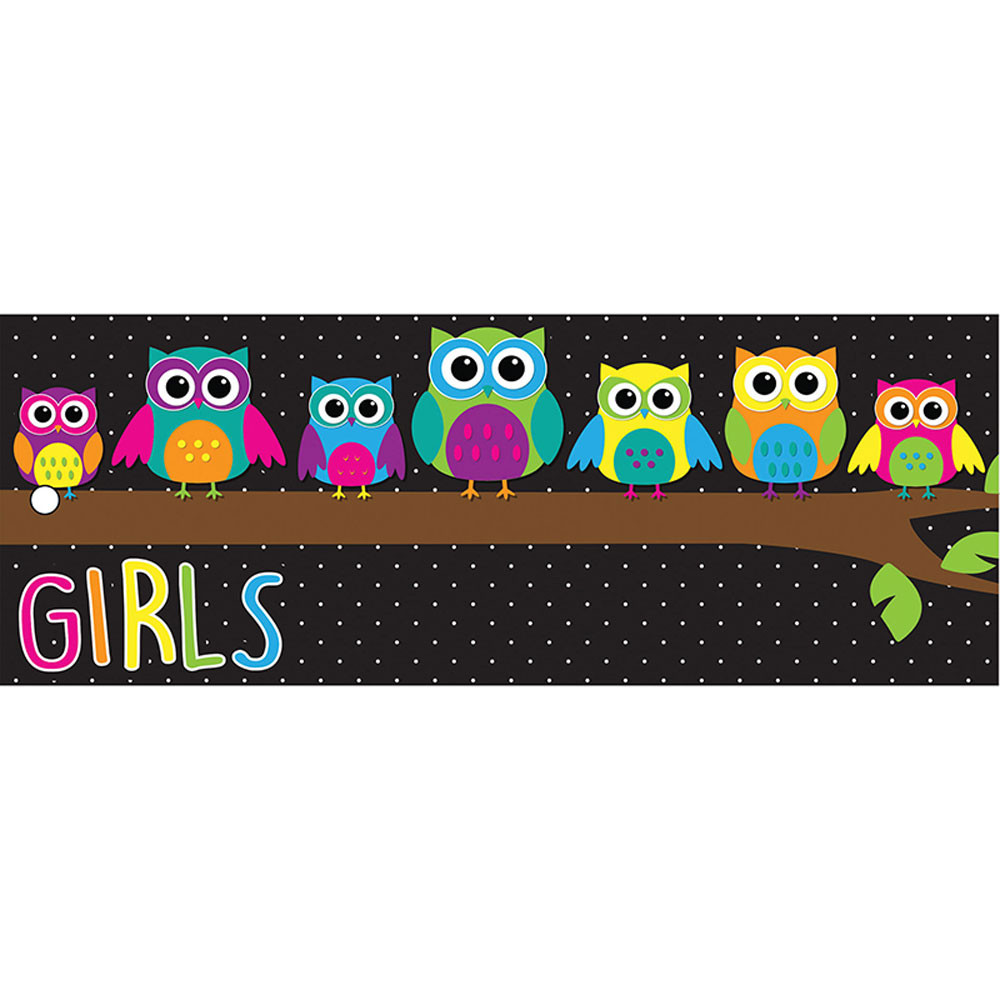 ASH10724 - Laminated Hall Pass Owls Girls in Hall Passes