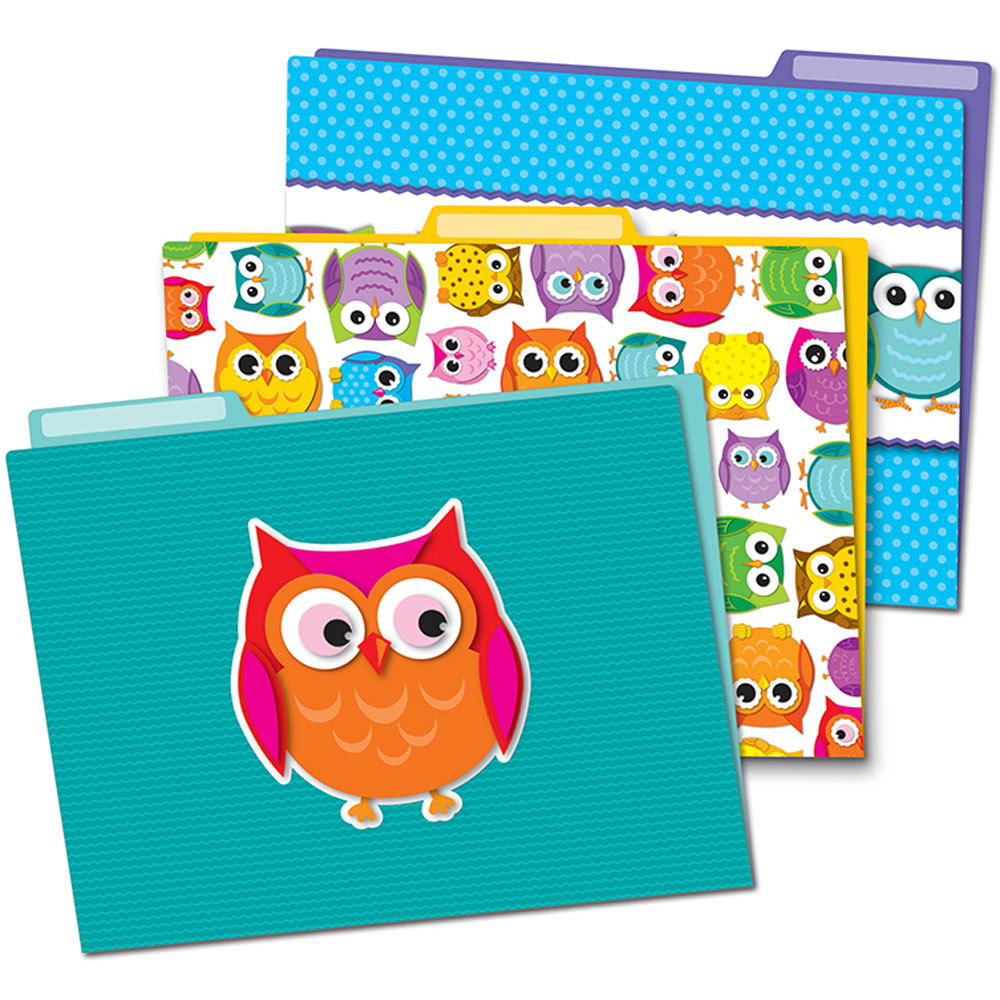 CD-136009 - Colorful Owls Folders in Folders