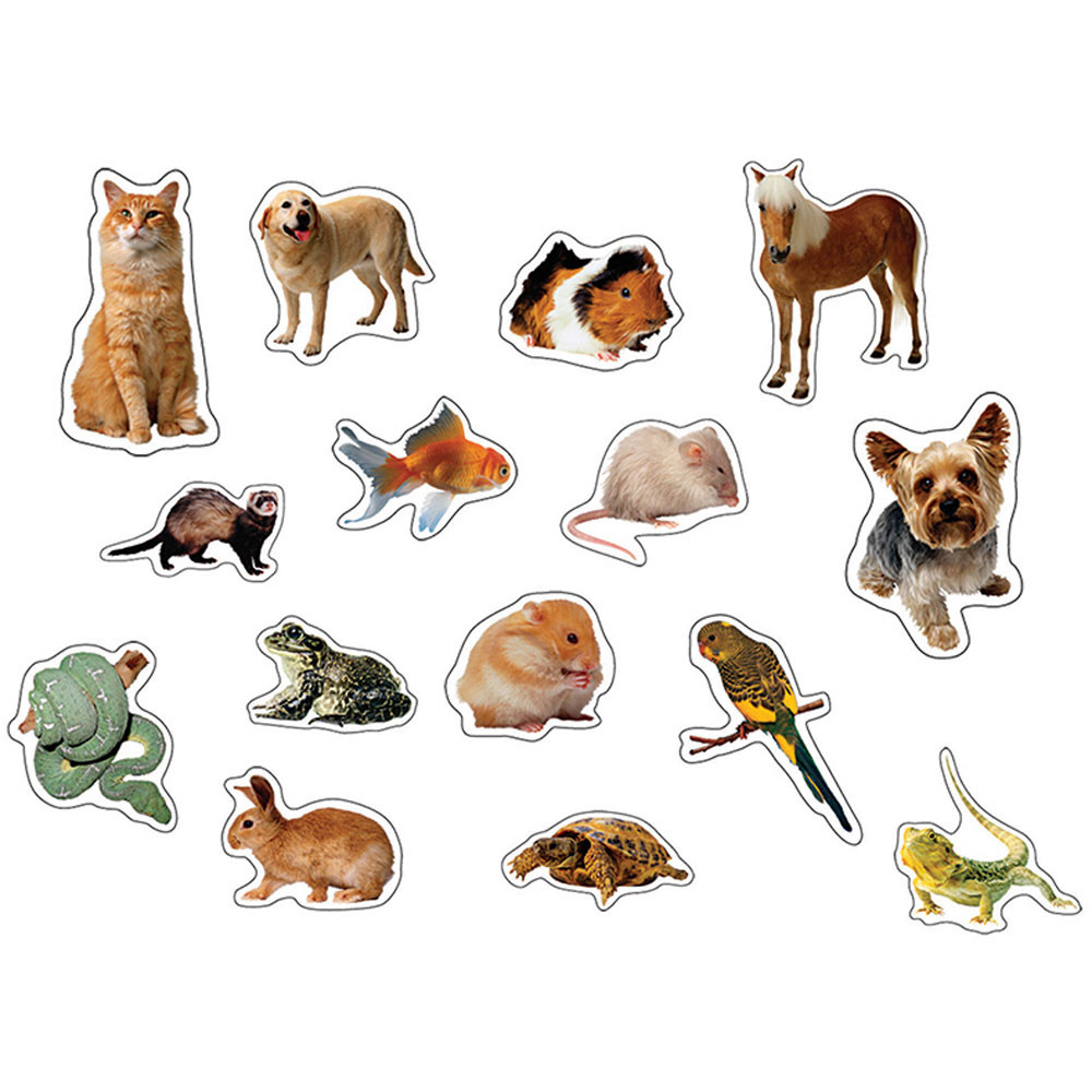 CD-168011 - Pets Photographic in Stickers