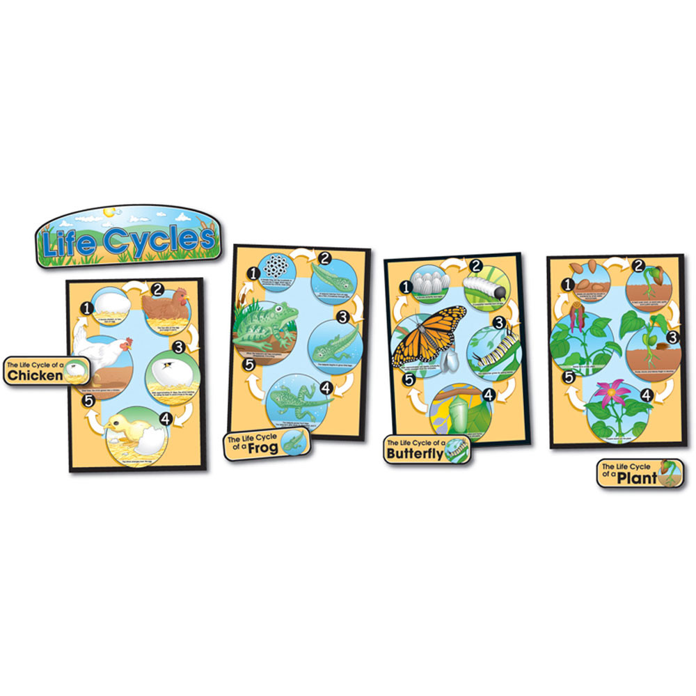 CD-3425 - Bb Set Life Cycles Gr 1-8 Butterfly Chick/Frog/Plant in Science