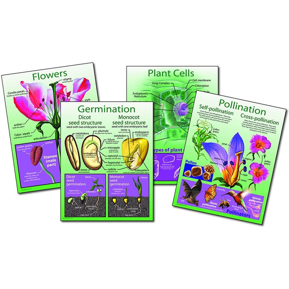 CD-410030 - Plants Bb Sets in Science