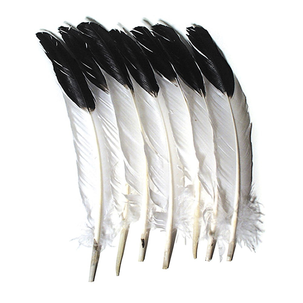 CK-4512 - Imitation Eagle Feathers in Feathers