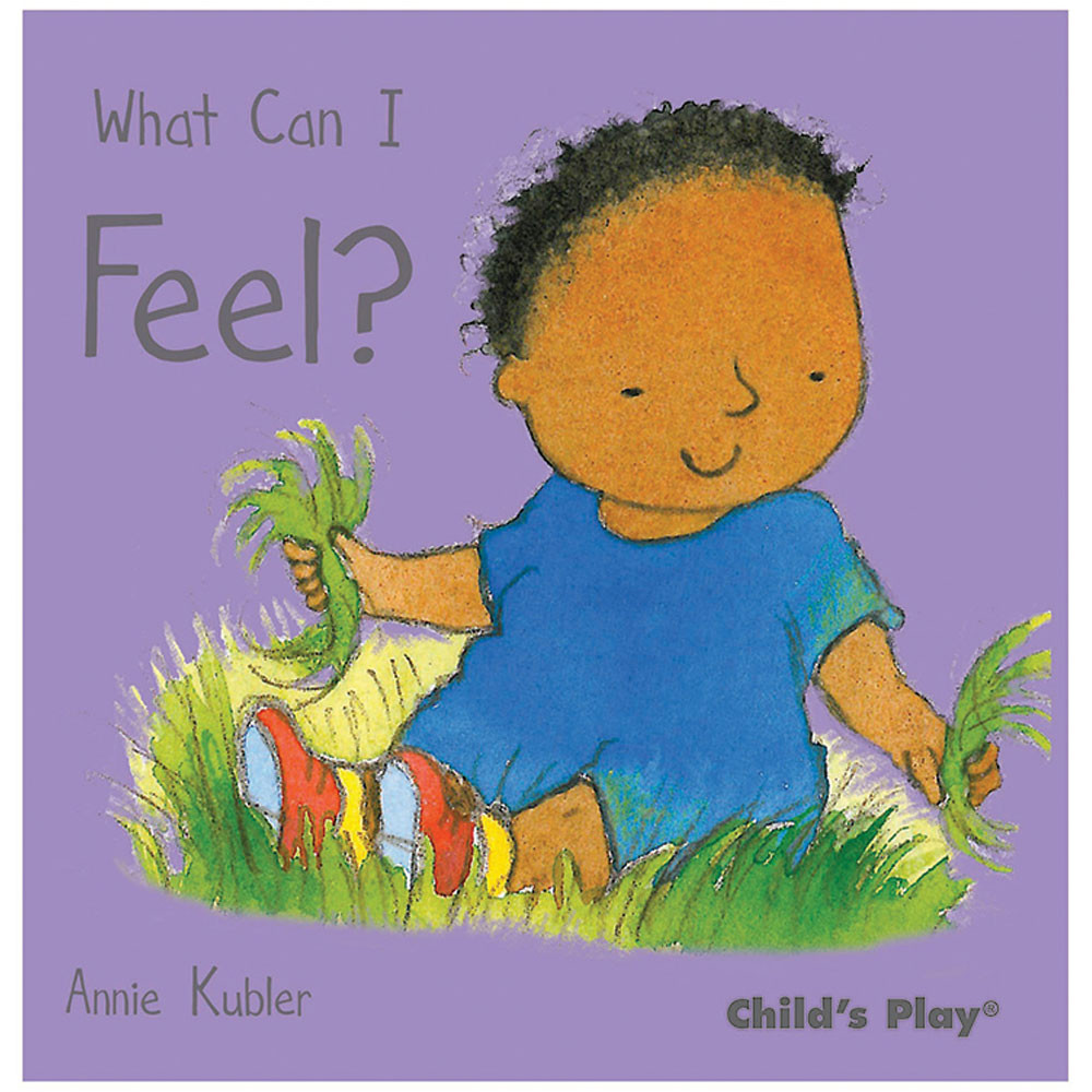 CPY9781846433740 - What Can I Feel in Classroom Favorites
