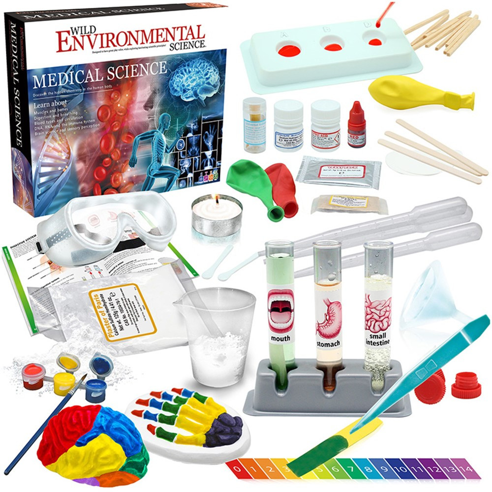 6 Color Children Plastic Tweezer Experiments Tools Biology Science