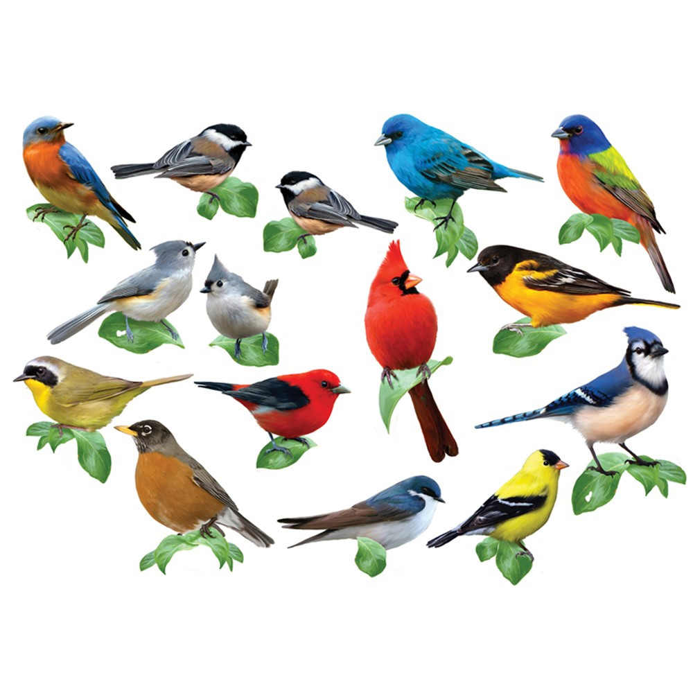 Songbirds I Multi Shaped Puzzles - CZA0079ZZH | Larose Industries Llc - Cra-Z-Art | Puzzles