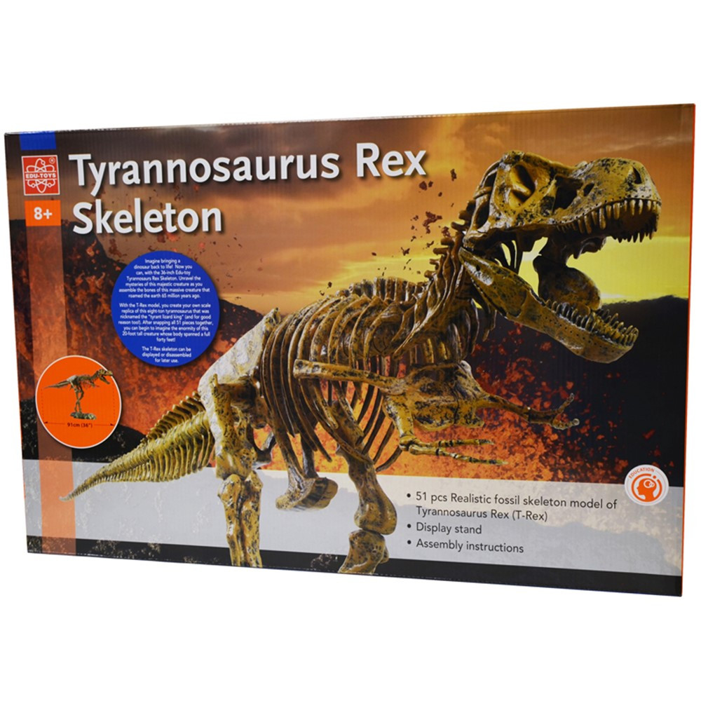 EE-EDU37329 - T-Rex Skeleton in Animal Studies