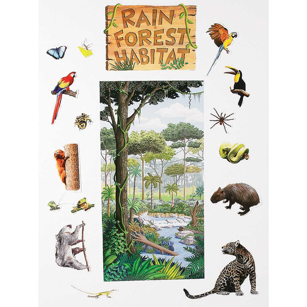 EP-2224 - Rain Forest Habitat Bulletin Board Set in Science