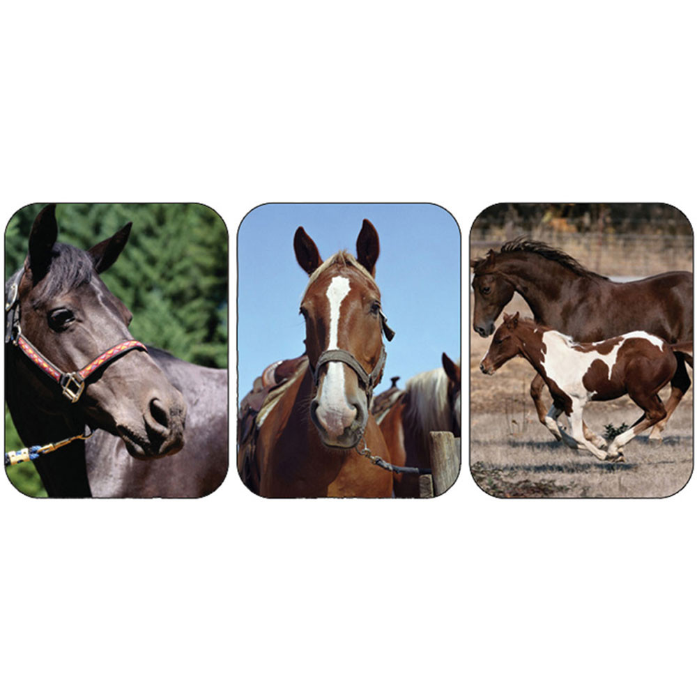 EU-651450 - Horses Real Photos Giant Stickers in Stickers