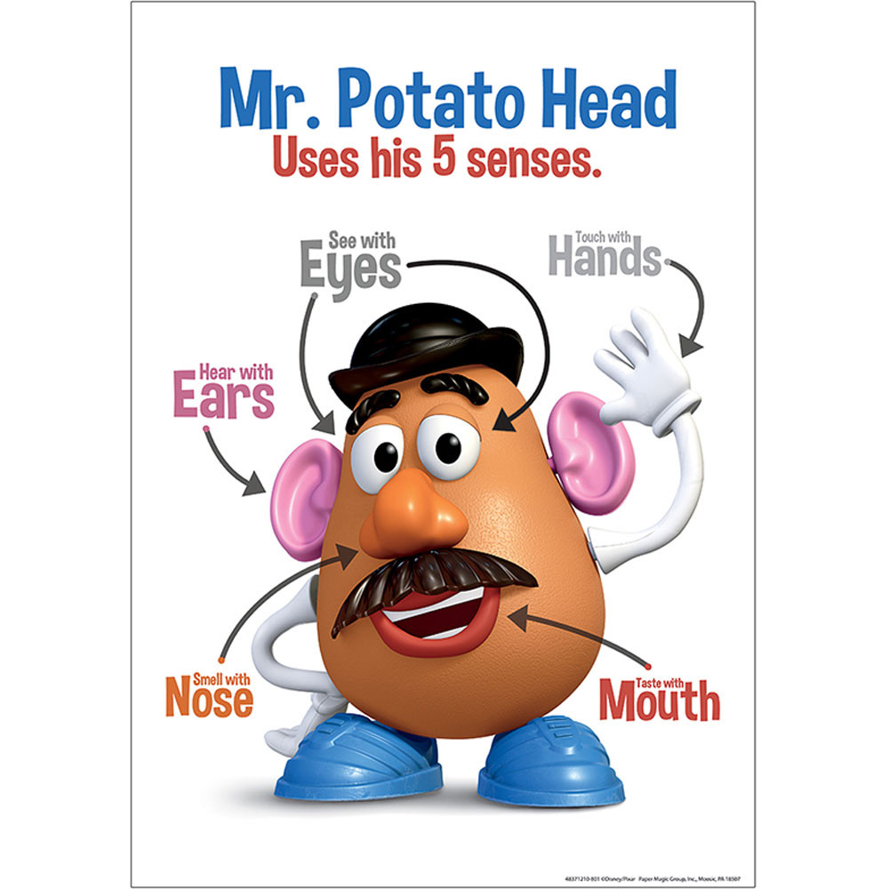 EU-837121 - Mr Potato Head 5 Senses 13X19 Posters in Science