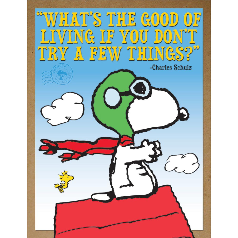 EU-837245 - Peanuts Flying Ace Poster in Motivational