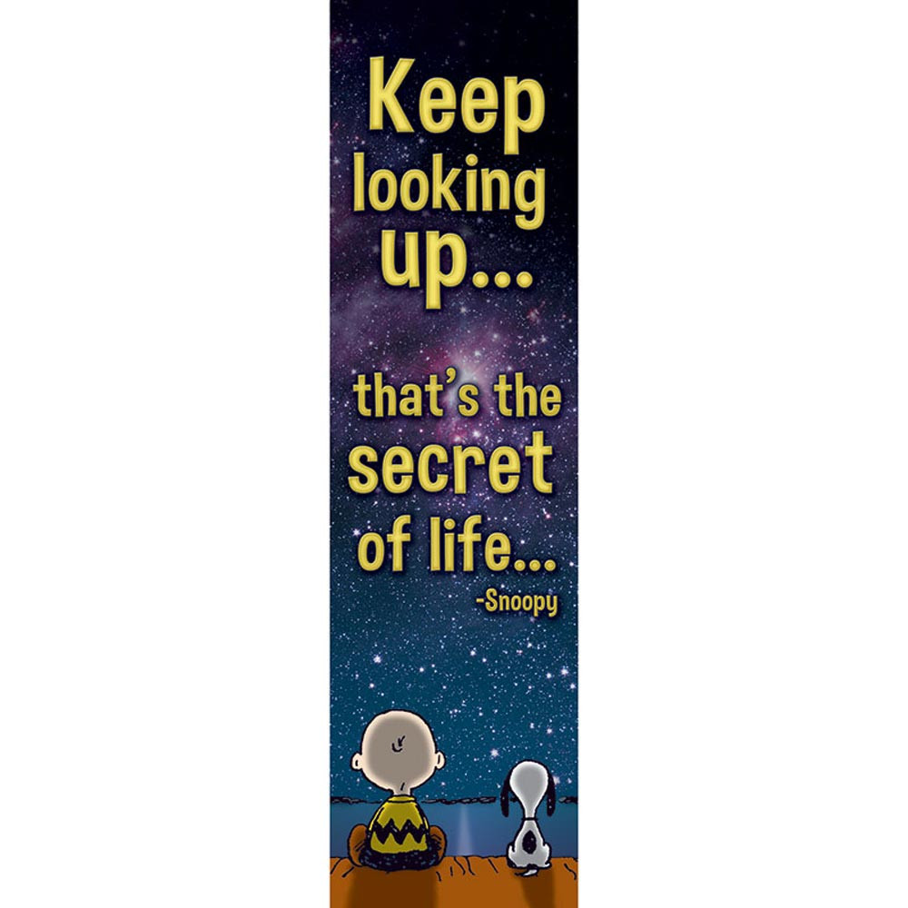 EU-849465 - Peanuts Keep Looking Up Vertical Banner in Banners