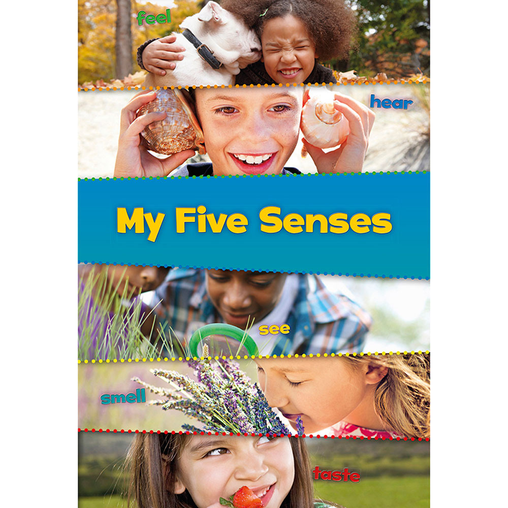 HE-9781484604359 - These Are My Senses Set Of All 5 Books in Human Anatomy