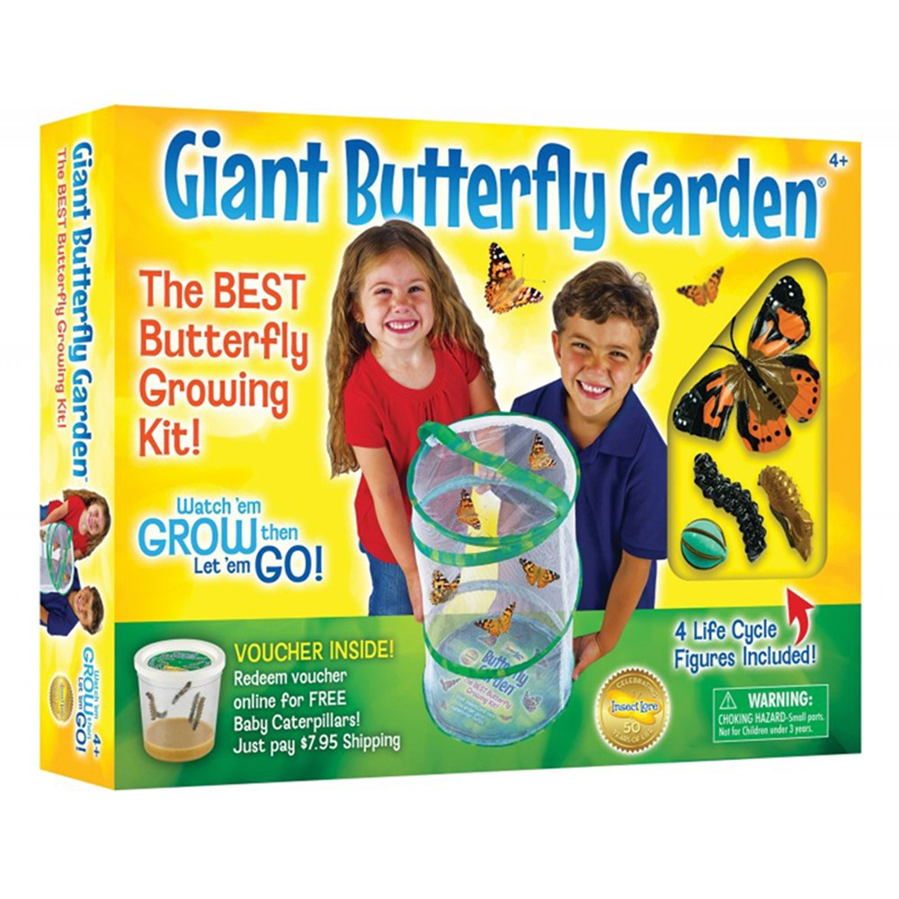 ILP01070 - Giant Butterfly Garden in Animal Studies