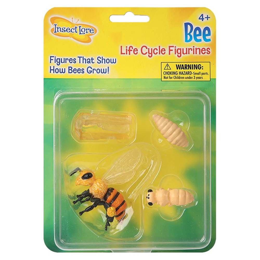ILP02215 - Bee Life Cycle Stages in Animal Studies
