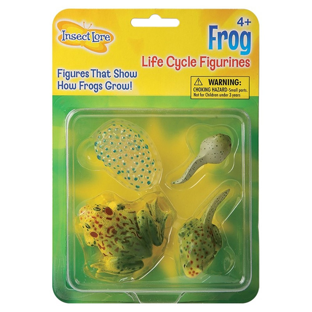 ILP2610 - Frog Life Cycle Stages in Animal Studies