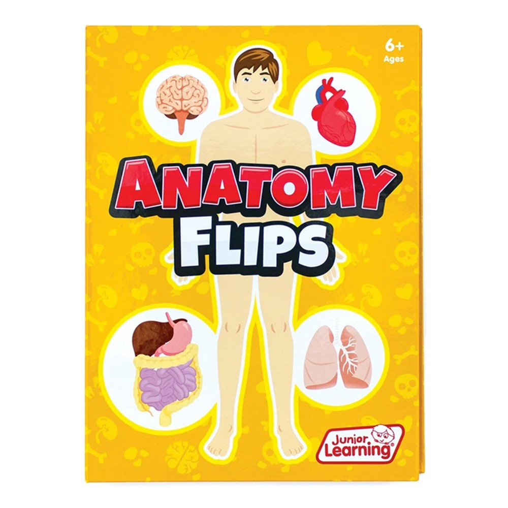 Anatomy Flips - JRL647 | Junior Learning | Human Anatomy
