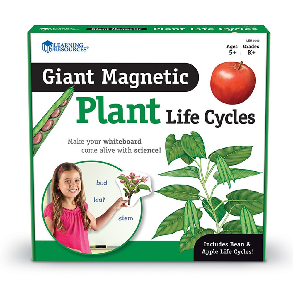 Giant Magnetic Plant Life Cycle Set, Set of 12 - LER6045 | Learning Resources | Plant Studies