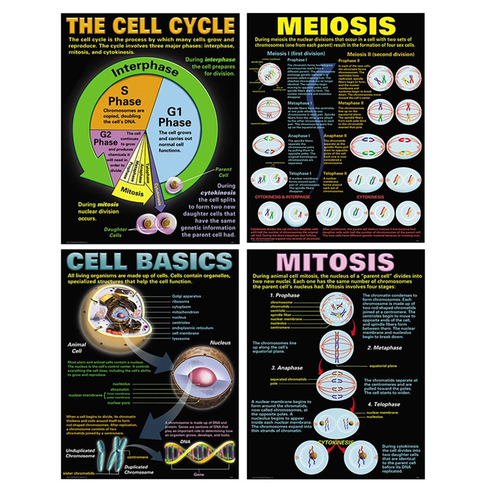 MC-P127 - Cells Teaching Poster Set in Science