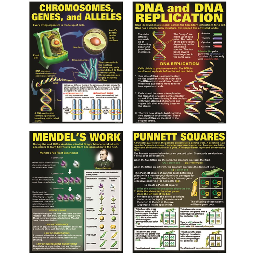 MC-P128 - Dna & Heredity Poster Set in Science