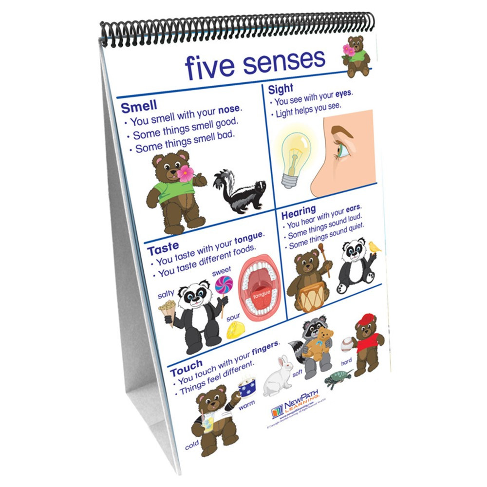 NP-340027 - Flip Charts All About Me Early Childhood Science Readiness in Human Anatomy