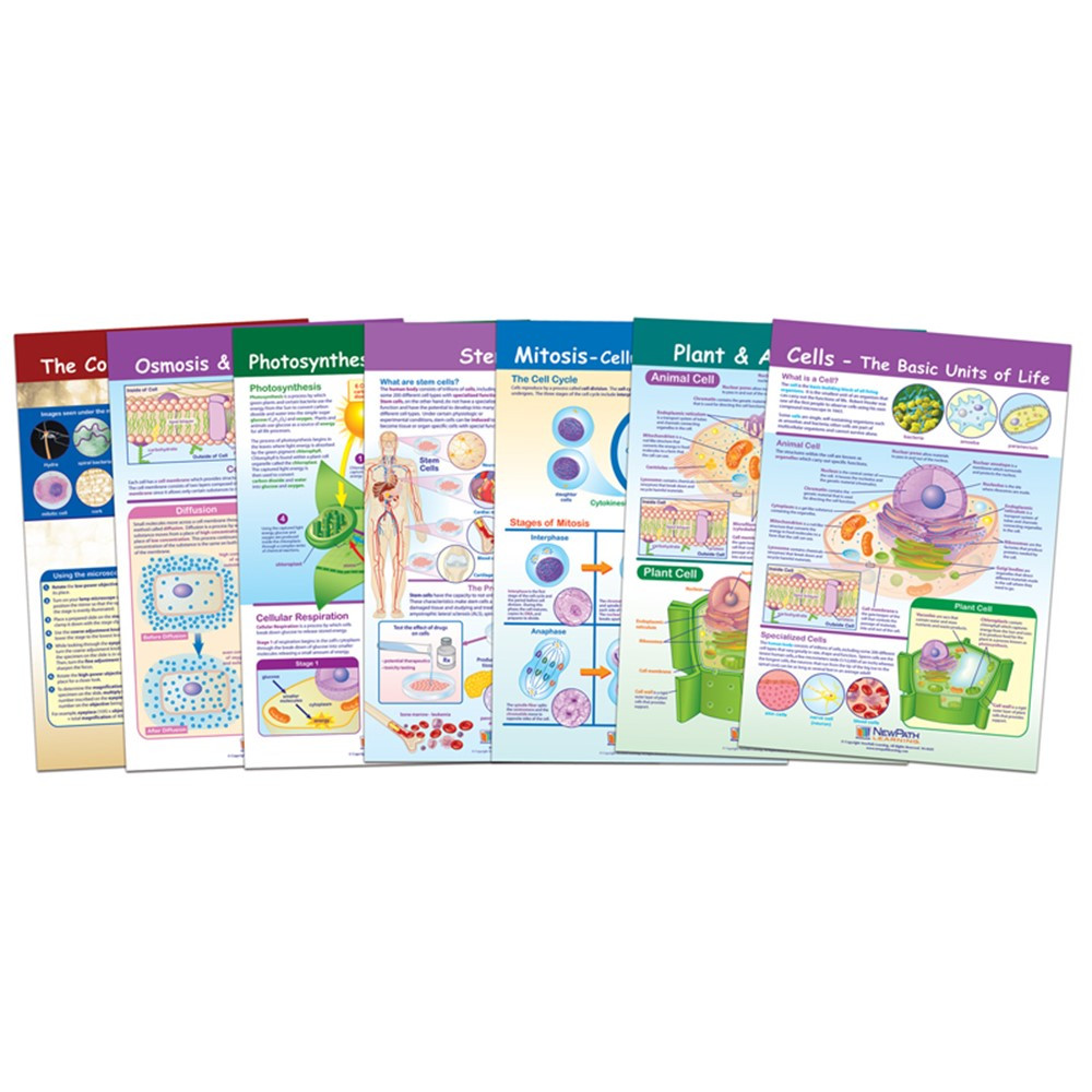 Cells Bulletin Board Chart Set, Grades 3-5 - NP-947001 | New Path Learning | Science