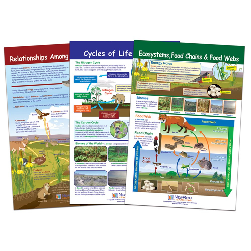 Ecology Bulletin Board Chart Set, Grades 3-5 - NP-947007 | New Path Learning | Science