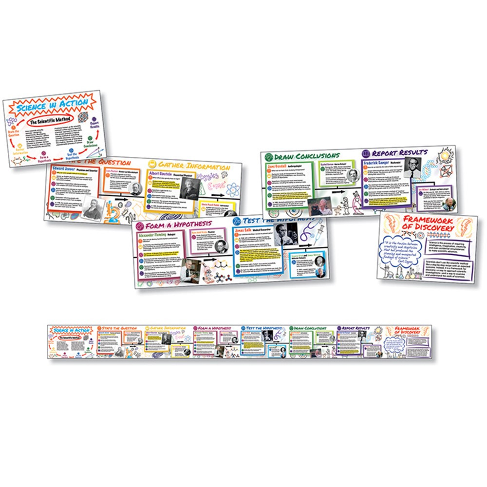 NST1416 - Science In Action Time Link Bulletin Board Set in Science