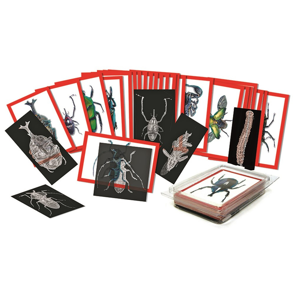 R-5912 - Insect X-Rays And Picture Cards in Animal Studies