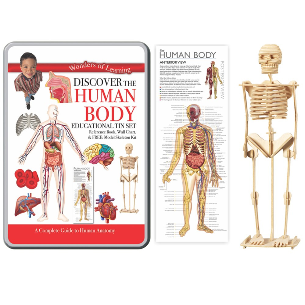 RWPTS01 - Tin Set Discover The Human Body Wonders Of Learning in Human Anatomy