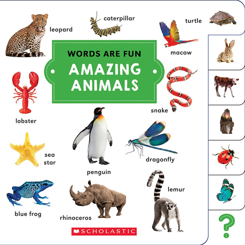 SC-660025 - Words Are Fun Amazing Animals in Reading Skills