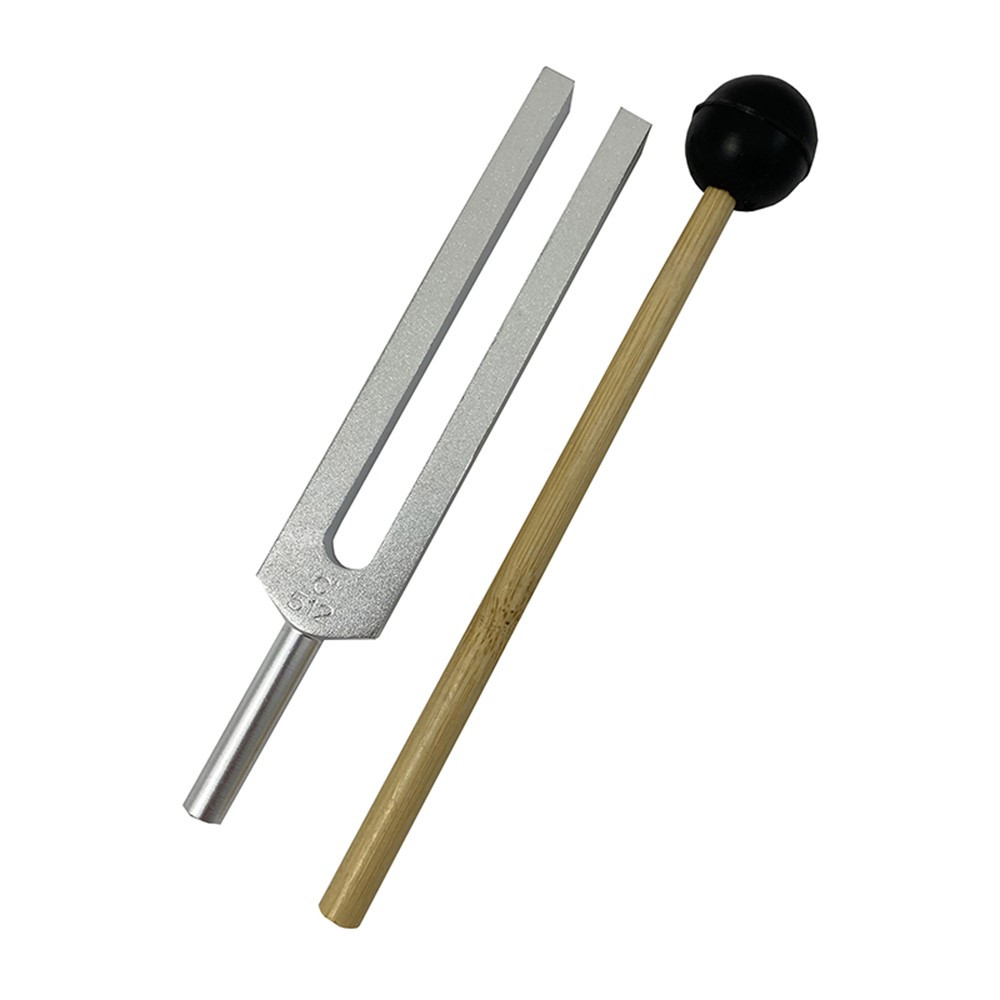 Tuning Fork and Striker - SKFPH3612110SET | Supertek Scientific | Instruments