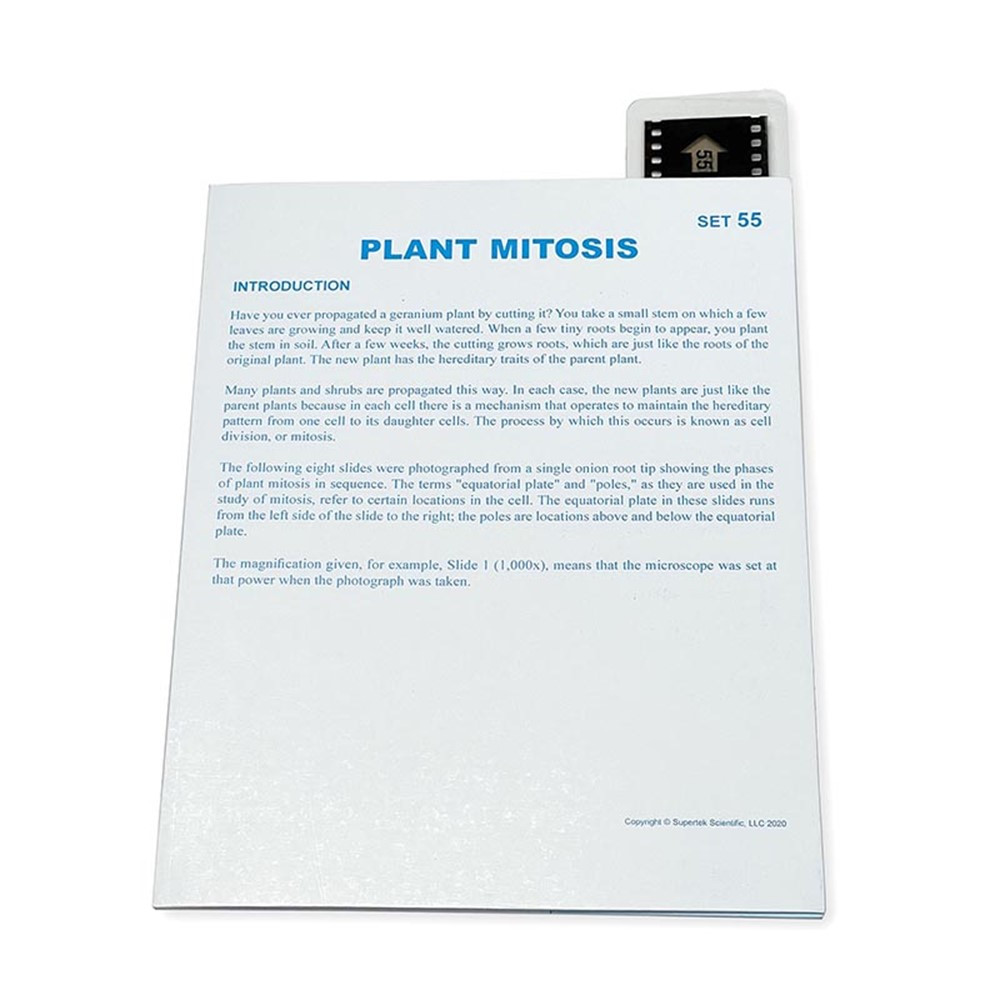 Microslide, Plant Mitosis, 35mm - SKFT55 | Supertek Scientific | Microscopes