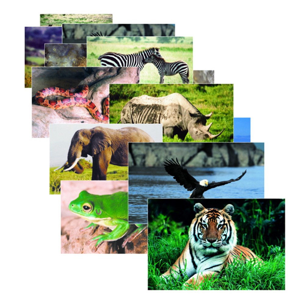 SLM151 - Wild Animal Poster Set Set Of 10 in Science