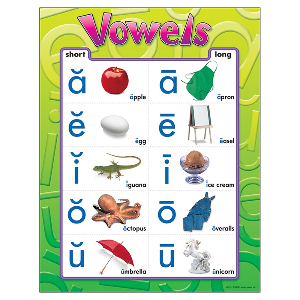 Vowels Learning Chart 17 X 22 T 38032 Trend Enterprises Inc Language Arts