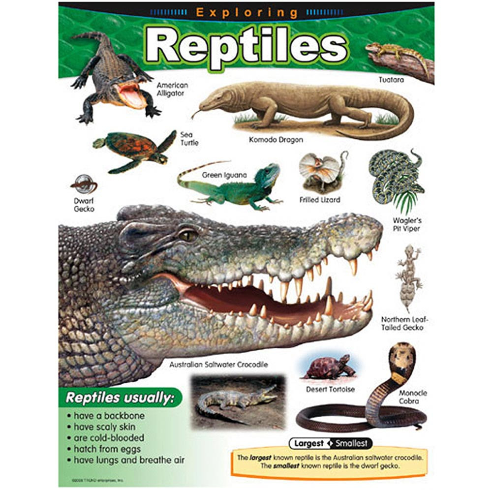 T-38181 - Chart Exploring Reptiles Gr 1-5 in Science