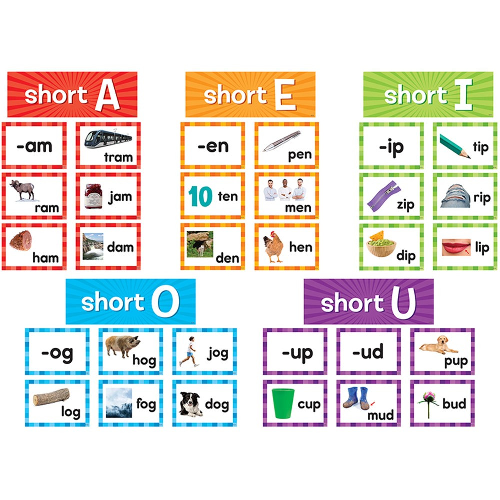 Short Vowels Pocket Chart Cards, 205 Pieces - TCR20850 | Teacher Created Resources | Pocket Charts